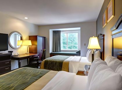 Comfort Inn & Suites Airport Dulles-Gateway