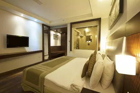 Hotel le Roi Near New Delhi Railway Station
