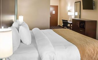 Comfort Inn & Suites San Marcos