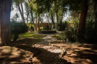 Hotel Majoro Hotels in 