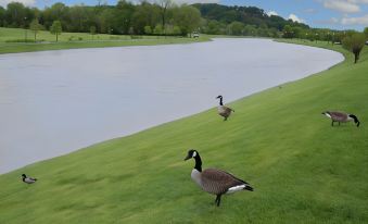 Econo Lodge Sevierville-Pigeon Forge on the River