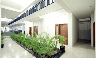 Dparagon Upn