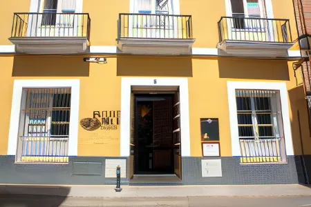 Black Swan Hostel Sevilla