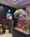 DT Hotel Hai Phong