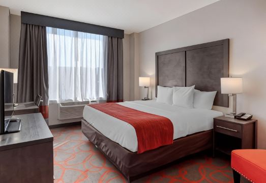 컴포트 인 & 스위트 니어 스타디움