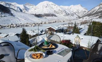 Park Chalet Village