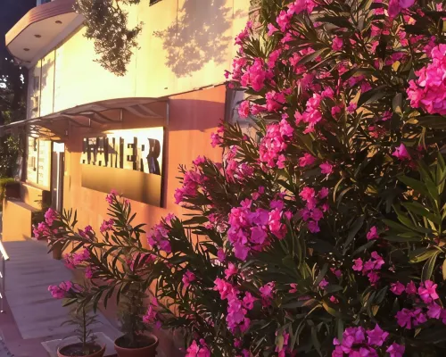 Atamer Doga Resort Hotels in Gemlik