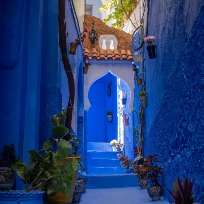 Casa Blue Star Hotels near Old Town