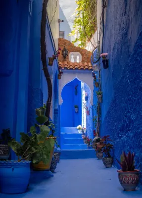 Casa Blue Star Hotels in 