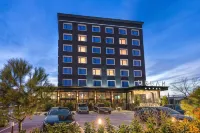 Hotel Urban Hotels in 