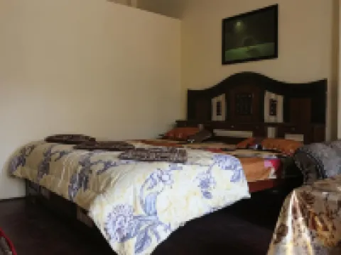 Mother Hostel Hotels near Dashashwamedh Ghat