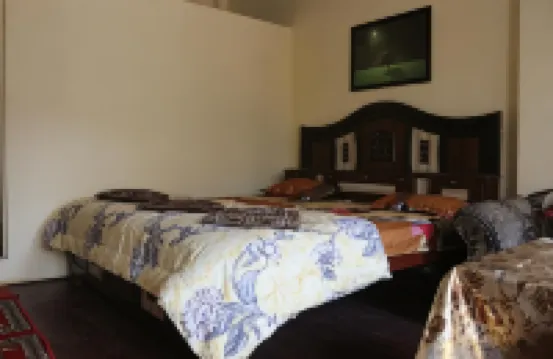 Mother Hostel Hotels in 