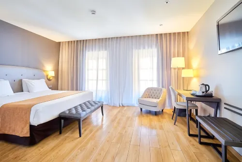 歐洲之星天井德科爾多瓦酒店