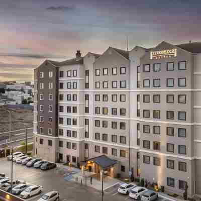 Staybridge Suites Chihuahua Hotel Exterior