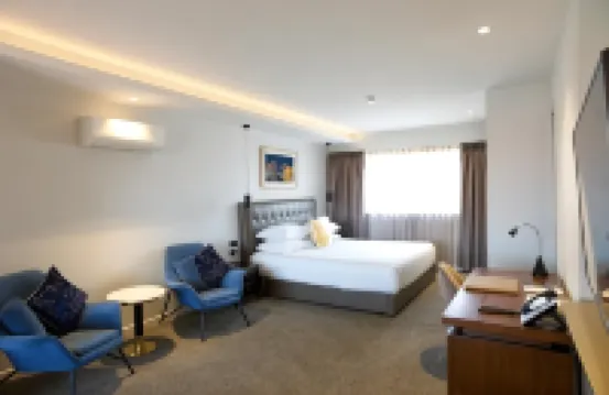 富豪棕櫚星城度假村5