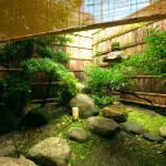 Ryouri Ryokan Watanabe Hotels in 