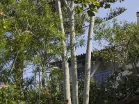 Elpida Village Hotels in Istro