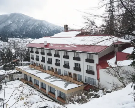Nozawa Grand Hotel Hotels in Nozawaonsen