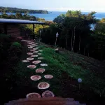 Camino del Sol Hotels in 