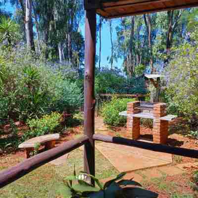 Woodland Gardens Self Catering Pet Friendly Lodge Hotel Exterior