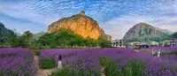 Yandang Mountain Sulv Homestay - albergo