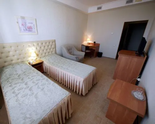DezhaVyu Mini-Hotel 오룔 호텔