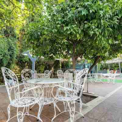Pigale Beach Resort Others