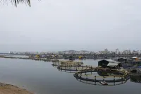 雷州天成台旅遊度假村 - 溫泉