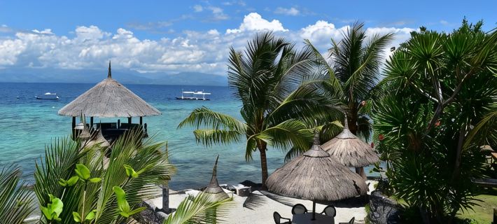 Dolphin House Resort Moalboal Hotels in Moalboal