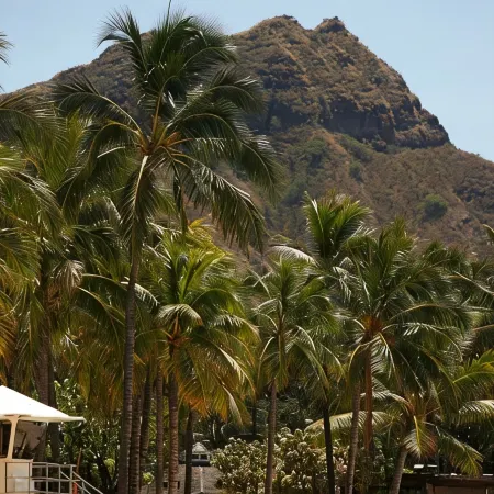 Waikiki Beach Marriott Resort & Spa