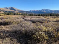 Perfect Mountain Escape. Family Friendly, Cozy Getaway & Near Breckenridge - 3성급