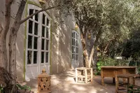 Villa Safran Ailleurs sous les Oliviers 15 minutes from the medina in Marrakech