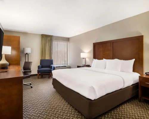 Comfort Inn Virginia Horse Center Hotels in Rockbridge County