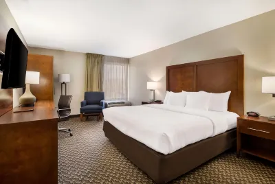 Comfort Inn Virginia Horse Center Hotel a 