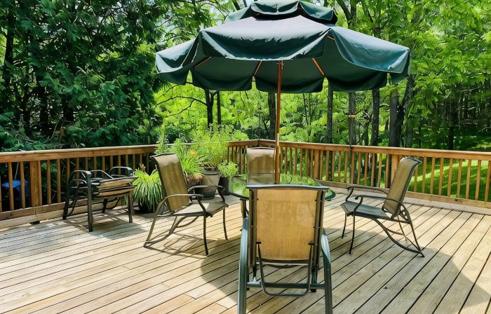 Pet-friendly, private, refuge. Monthly renters welcome. No extra fees.