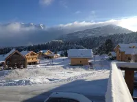 authentic Scandinavian log cabin