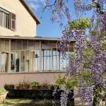 Artists' Villa,  4  bedrooms, large terrace, great views, Cinque Terre 40 min - Biệt thự