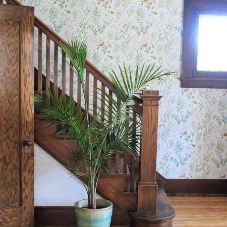 Bright, spacious, historic home in downtown Viroqua.