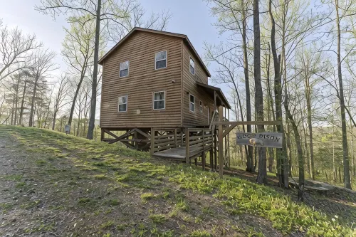 Nature Retreat Near Buffalo River w/ Hot Tub