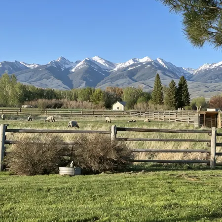 The Ranch House Cabin at J&J Cabins
