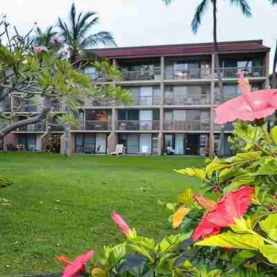 Beautiful KIHEI condo near Charley Young Bch, Pickleball Crts, Quiet, GreatRates Hotel Exterior
