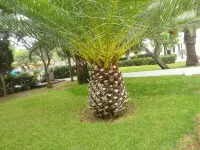 Beautiful Duplex Apartment 206 El Pino in Cala Ferrera - 3 stjerner