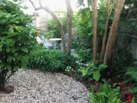 Sealy Suites D  Historic East End - Walk to Beach, UTMB & Strand - Condos