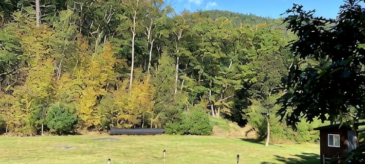 Big  Medicine  Ranch - Rustic Sunrise Cabin - Catskills Отели в г. Катскилл