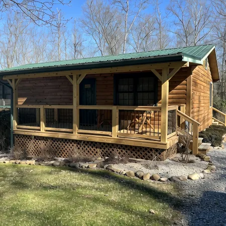 Secluded cabin near South Holston River