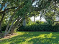 Island Beach Cottage: Your Zen Retreat by the Sea. - 4-Star
