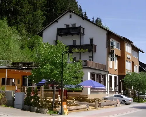 Action Forest Hotel - Kletterwald - Lasertag - nähe Badeparadies Hotels in Titisee