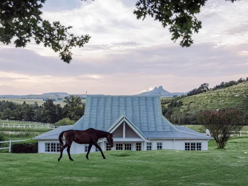 Oaklands Farm Stay - spa