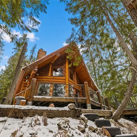 Creek side log cabin in the woods -dog friendly