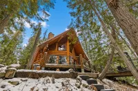Creek side log cabin in the woods -dog friendly - Hytter